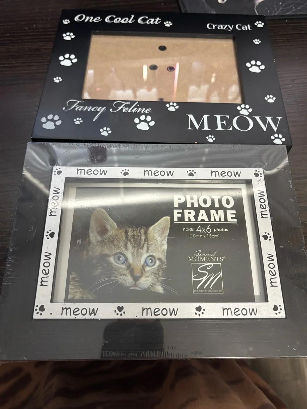 Cat picture frames x 2